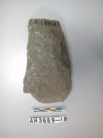 藏品(打製石斧)的圖片